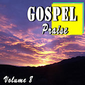 Thumbnail for the Steven King - Gospel Praise, Vol. 8 link, provided by host site