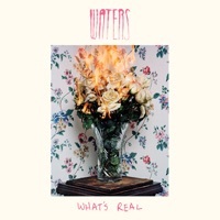Thumbnail for the Waters - Got to My Head link, provided by host site