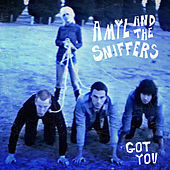 Thumbnail for the Amyl and The Sniffers - Got You link, provided by host site