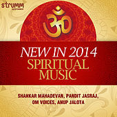 Thumbnail for the Shankar Mahadevan - Govind Bolo Hari Gopal Bolo link, provided by host site