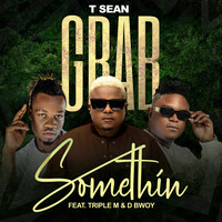 Thumbnail for the T-Sean - Grab Something link, provided by host site