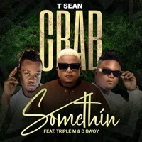 Thumbnail for the T-Sean - Grab Something - Single link, provided by host site