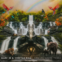 Thumbnail for the Marc JB - Gracias Madre Tierra (PACHIRA Remix) link, provided by host site