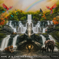 Thumbnail for the Marc JB - Gracias Madre Tierra link, provided by host site