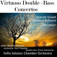 Thumbnail for the Sofia Soloists Chamber Orchestra - Gran Duo Concertante for Violin and Double Bass link, provided by host site