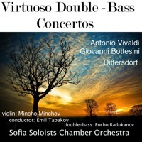 Thumbnail for the Sofia Soloists Chamber Orchestra - Gran duo concertante for Violin and Double Bass link, provided by host site