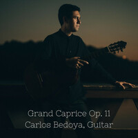 Thumbnail for the Napoléon Coste - Grand Caprice, Op. 11 link, provided by host site