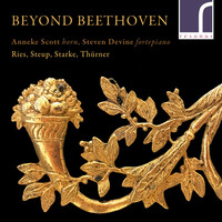 Thumbnail for the Ferdinand Ries - Grande Sonate in F Major, Op. 34: II. Andante link, provided by host site
