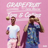 Thumbnail for the Tom & Collins - Grapefruit link, provided by host site