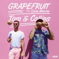 Thumbnail for the Tom & Collins - Grapefruit link, provided by host site