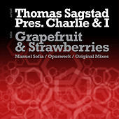 Thumbnail for the Thomas Sagstad - Grapefruit & Strawberries (Opuswerk Remixes) link, provided by host site