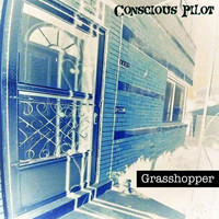 Thumbnail for the Conscious Pilot - Grasshopper link, provided by host site