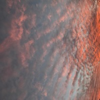 Thumbnail for the Brave - Grateful link, provided by host site