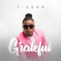 Thumbnail for the T-Sean - Grateful link, provided by host site