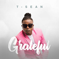 Thumbnail for the T-Sean - Grateful link, provided by host site