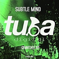 Thumbnail for the Subtle Mind - Gravitate link, provided by host site