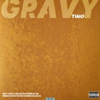 Thumbnail for the Timo - Gravy link, provided by host site