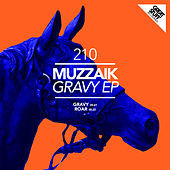 Thumbnail for the Muzzaik - Gravy link, provided by host site