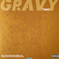 Thumbnail for the Timo - Gravy link, provided by host site