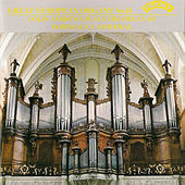 Thumbnail for the Colin Andrews - Great European Organs No. 14: Bordeaux Cathedral link, provided by host site