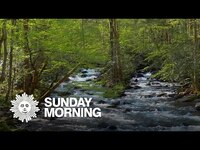 Thumbnail for the CBS Sunday Morning - Nature: Great Smoky Mountains link, provided by host site