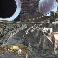 Thumbnail for the Deerhoof - Green Cosmos link, provided by host site