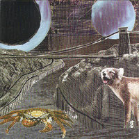 Thumbnail for the Deerhoof - Green Cosmos link, provided by host site