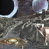 Thumbnail for the Deerhoof - Green Cosmos link, provided by host site