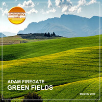 Thumbnail for the Adam Firegate - Green Fields link, provided by host site