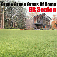Thumbnail for the BB Seaton - Green Green Grass of Home link, provided by host site