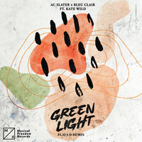 Thumbnail for the AC Slater - Green Light [Flava D Remix] link, provided by host site