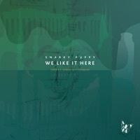Thumbnail for the Snarky Puppy - Gretel (Bonus Version) link, provided by host site