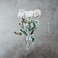 Thumbnail for the EXES - Grey link, provided by host site