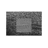 Thumbnail for the Grouper - Grid of Points link, provided by host site