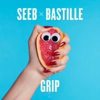 Thumbnail for the Seeb - Grip link, provided by host site