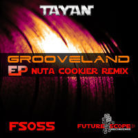 Thumbnail for the Tayan - Grooveland link, provided by host site