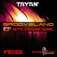 Thumbnail for the Tayan - Grooveland link, provided by host site