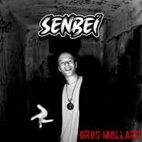 Thumbnail for the Senbeï - Gros mollard link, provided by host site