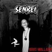 Thumbnail for the Senbeï - Gros mollard link, provided by host site