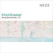 Thumbnail for the Arditti String Quartet - Grosskopf: String Quartets Nos. 1-3 link, provided by host site