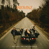Image of Provinz linking to their artist page due to link from them being at the top of the main table on this page