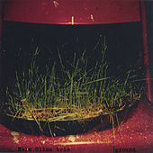 Image of Nels Cline linking to their artist page due to link from them being at the top of the main table on this page
