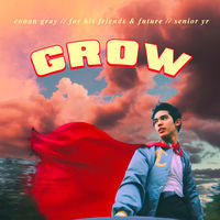 Image of Conan Gray linking to their artist page due to link from them being at the top of the main table on this page