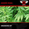 Thumbnail for the Andre Rigg - Growing link, provided by host site