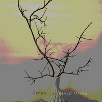 Thumbnail for the David Cross - Grown link, provided by host site