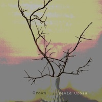 Thumbnail for the David Cross - Grown link, provided by host site