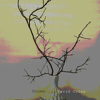 Image of David Cross linking to their artist page due to link from them being at the top of the main table on this page