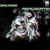 Thumbnail for the Realsortis - Grudge link, provided by host site