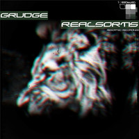Thumbnail for the Realsortis - Grudge link, provided by host site