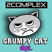 Thumbnail for the 2Complex - Grumpy Cat link, provided by host site